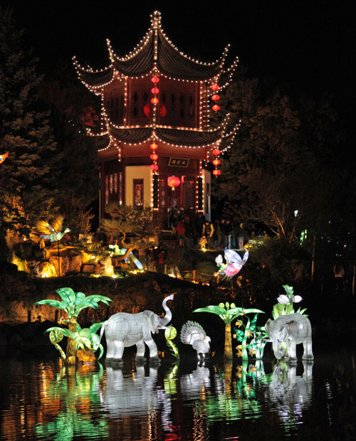 /Chinese Lanterns - Botanical Garden