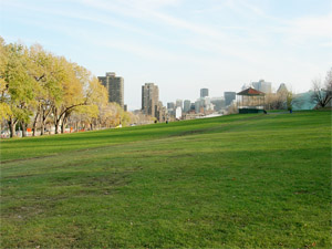 Downtown view