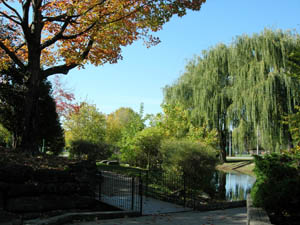 Beaubien Park Outremon at fall