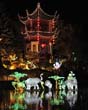 Chinese Lanterns - Botanical Garden