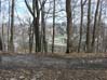 Vue � partir du chemin Olmsted