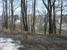 Vue � partir du chemin Olmsted