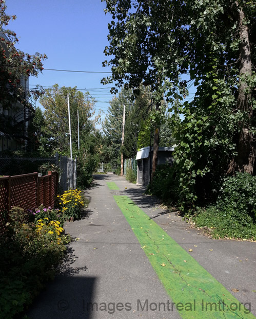 /Green Back Alley - Le ruban vert