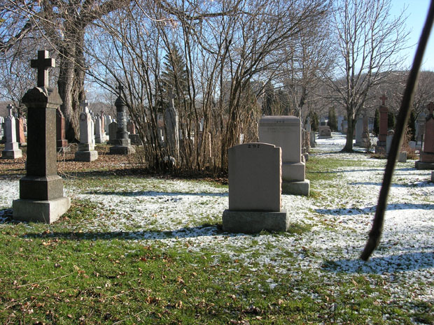 /Cemetery in winter