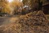 Willowdale en automne