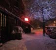 Dante Street Under The Snow
