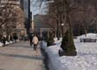 McGill Campus in Winter