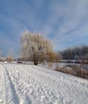 Parc Angrignon en hiver