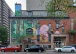 Ankhone sur Maisonneuve